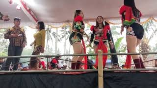 Jambu Alas Ndolalak Putri Waringin Sari