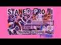 🤖 Staneg Pro AI Tennis Practice | Session 2 #StanegProAI #SwingVision