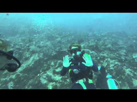 Diving Malaysia Perhentian Islands Temple of the Sea