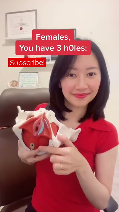 Females, you have 3 holes! #pelvicfloor #incontinence #health #womenshealth #didyouknow #shorts