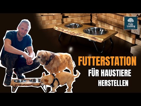 vitomalia halsbänder Reflektierendes Outdoor Hundehalsband – Sicher und robust main image 1