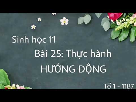 [Sinh học 11] Bài 25: Thực hành _ Hướng động, Hướng sáng 《Tổ 1-11B7》