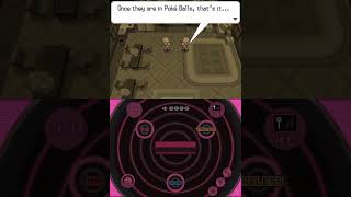 Pokémon World - Unova - Driftveil City: White and Black
Rood of the Seven Sages has decided to give Rosa the Zorua that N had spent his childhood days with. However, her party is full, and she cannot get it until she puts a Pokémon into the PC boxes. When she returns, though, a single Zoroark greets her, showing her a memory of two Team Plasma Grunts in an argument about their fate, as well as N. What does this entail...? Pokémon World - Unova - Driftveil City: White and Black