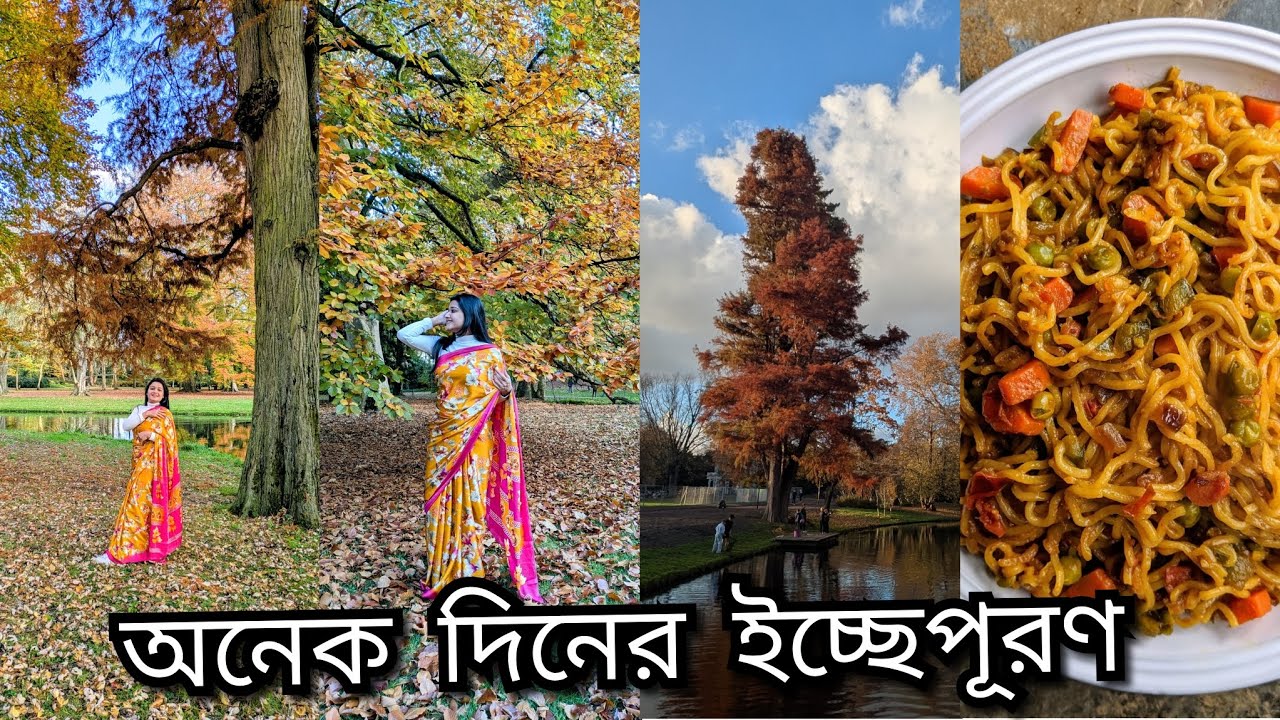 ইউরোপে শাড়ি পড়লাম..বিদেশে এসে দেশি সংকৃতিকে রক্ষা করার চেষ্টা । আমাকে দেখে সবার রিয়েকশন কেমন ছিল