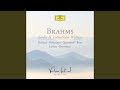 Miniature de la vidéo de la chanson Wir Wandelten, Op. 96, No. 2