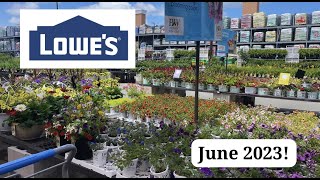 Lowes Garden Center Inventory/ Proven Winners Summerific Hibiscus!