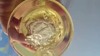 Slow-mo Tangie