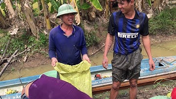 Chụp đìa Bắt cá cà mau miền Tây phần 2