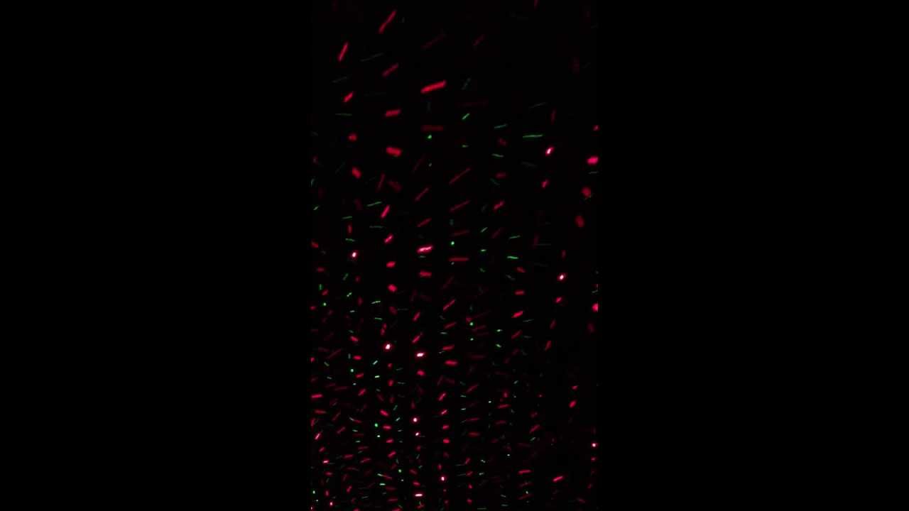 Blacklight House Party