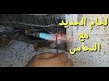 تعلم معي طريقة لحام الحديد مع النحاس ماسورة المكثف الحديد مع فلتر نحاس ببساطه وسهوله تعلم معي طريقة لحام الحديد مع النحاس ماسورة المكثف الحديد مع فلتر نحاس ببساطه وسهوله