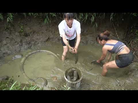 Wild Fishing Exciting Meet Big Snake, Use A Large Capacity Pump, Catch Many Of Fish In The Lake
