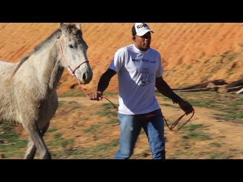 ‘Cowboy’ Oliveira: From Bull Rider to UFC Contender - MMA Fighting