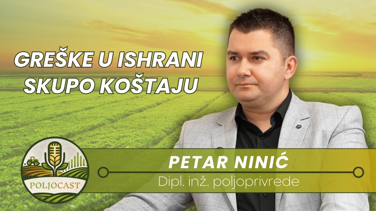 Najčešće greške u ishrani stoke (i kako ih izbjeći) | Petar Ninić | PoljoCast E4