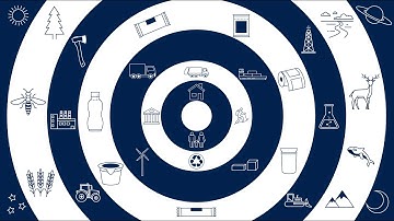 Your Sustainable Packaging Journey | Associated Labels and Packaging