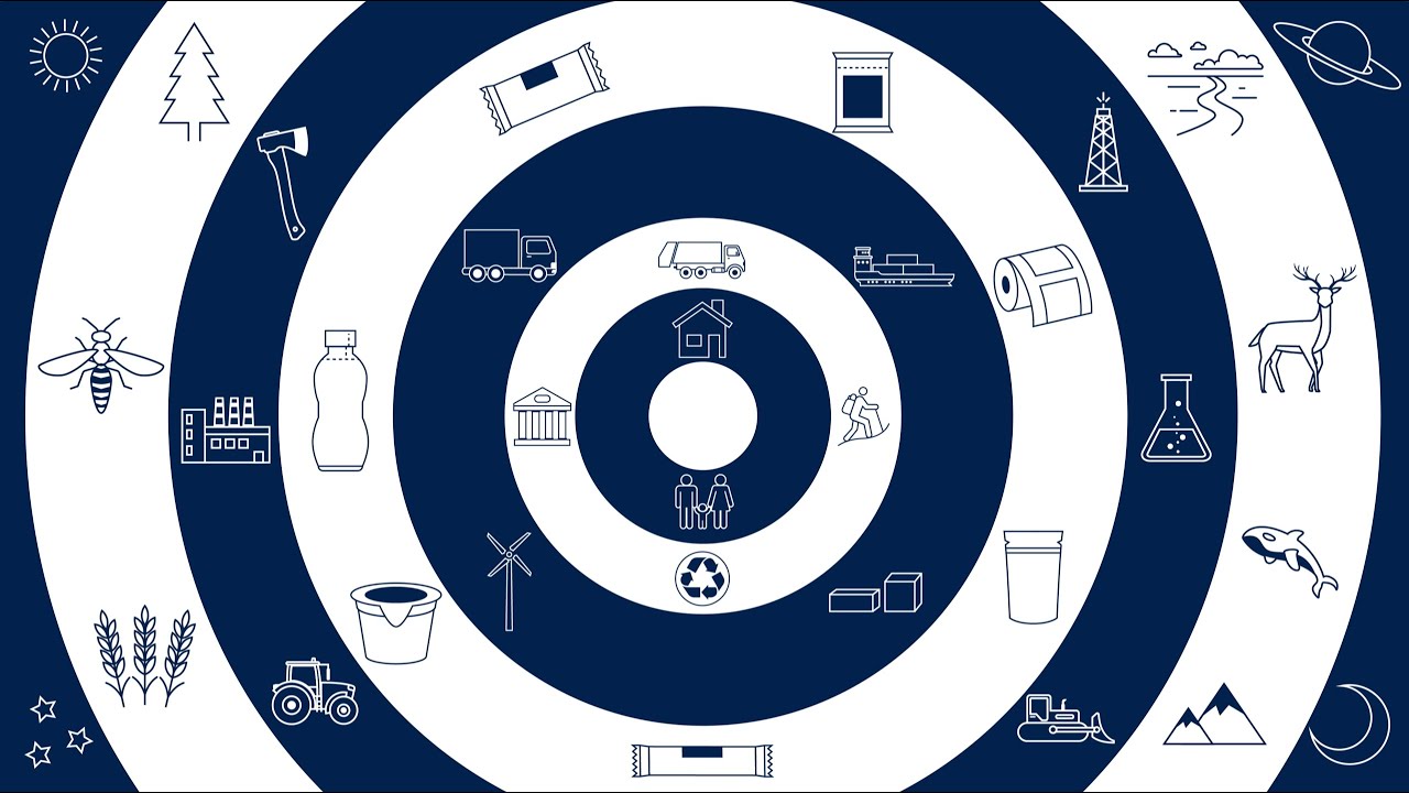 Your Sustainable Packaging Journey Associated Labels and Packaging