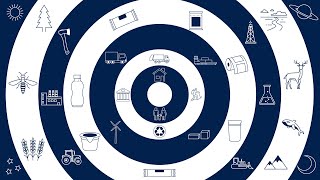 Your Sustainable Packaging Journey | Associated Labels and Packaging