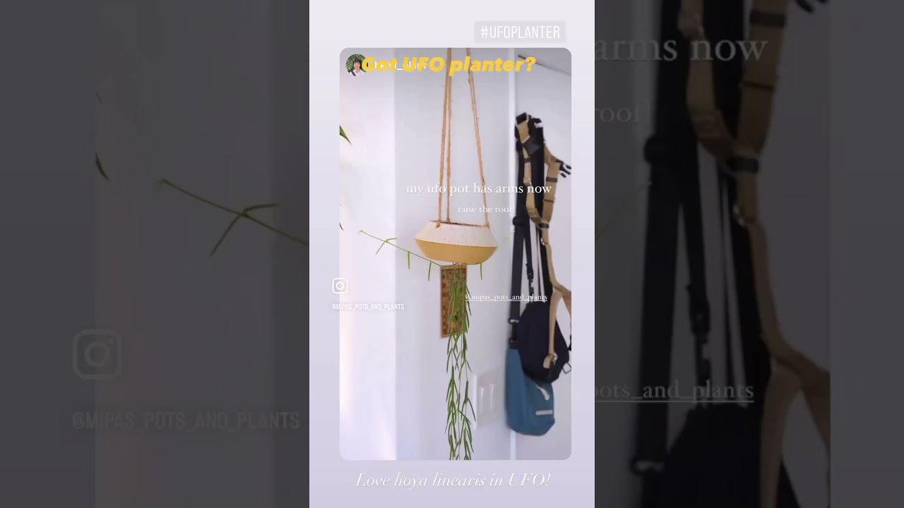 Endless plant choice for UFO planter 