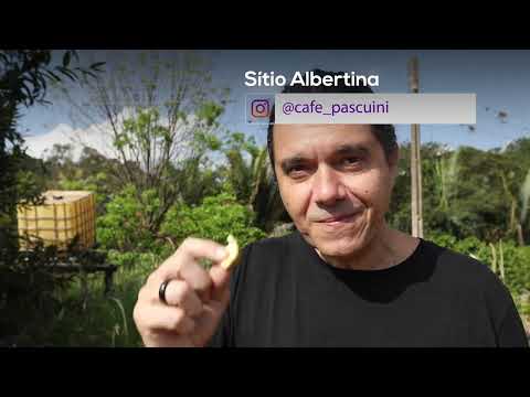 Experiências do Brasil Rural | Rota do Café e do Vinho - Espírito Santo do Pinhal (SP)