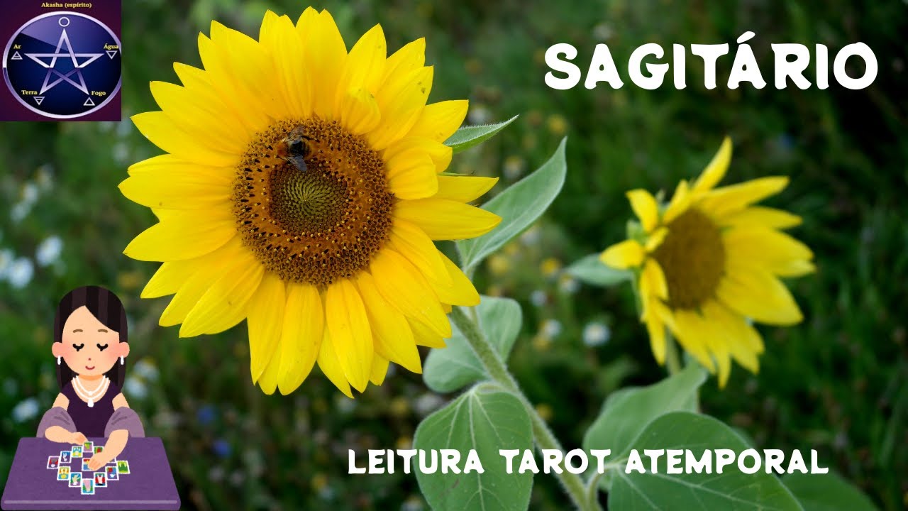 ♐SAGITÁRIO - REVELANDO OS SENTIMENTOS PROFUNDOS QUE SENTE, OU É VC OU É UMA OUTRA PESSOA.