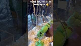 Police Box (Prototype Claw Machine) - Instance Automatics