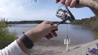 Trout Fishing Cape Cod, October 20, 2019