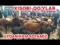 XISORI QOʻY NARXLARI UYDAN XAM SOTAMIZ SURXONDARYO SARIOSIYO QOʻY BOZORI 6-Yanvar 2022