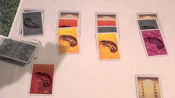 Coloretto Review - with Ryan Metzler