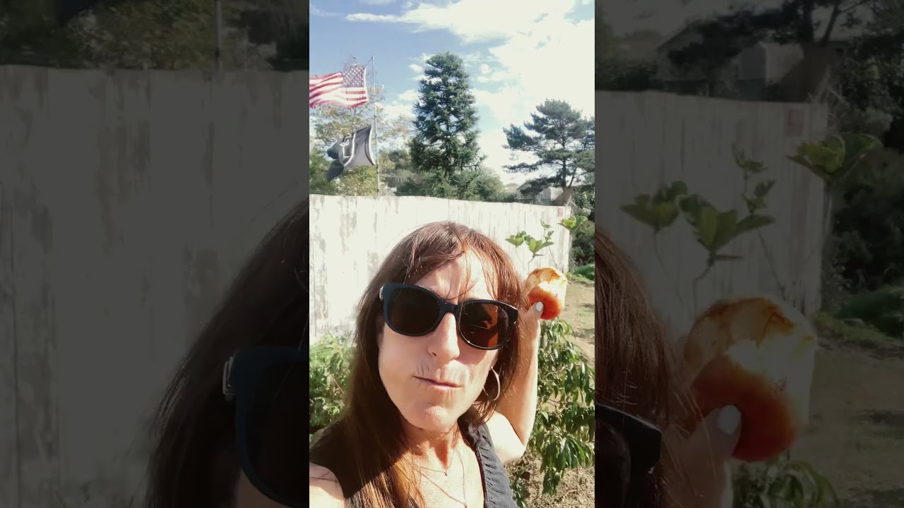 October 21, 2025elwood garden entrance rd goleta