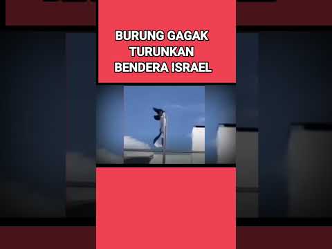 Detik detik Burung