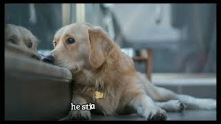 "JAKE" by Jim Bartlett (Digital Picture Story)