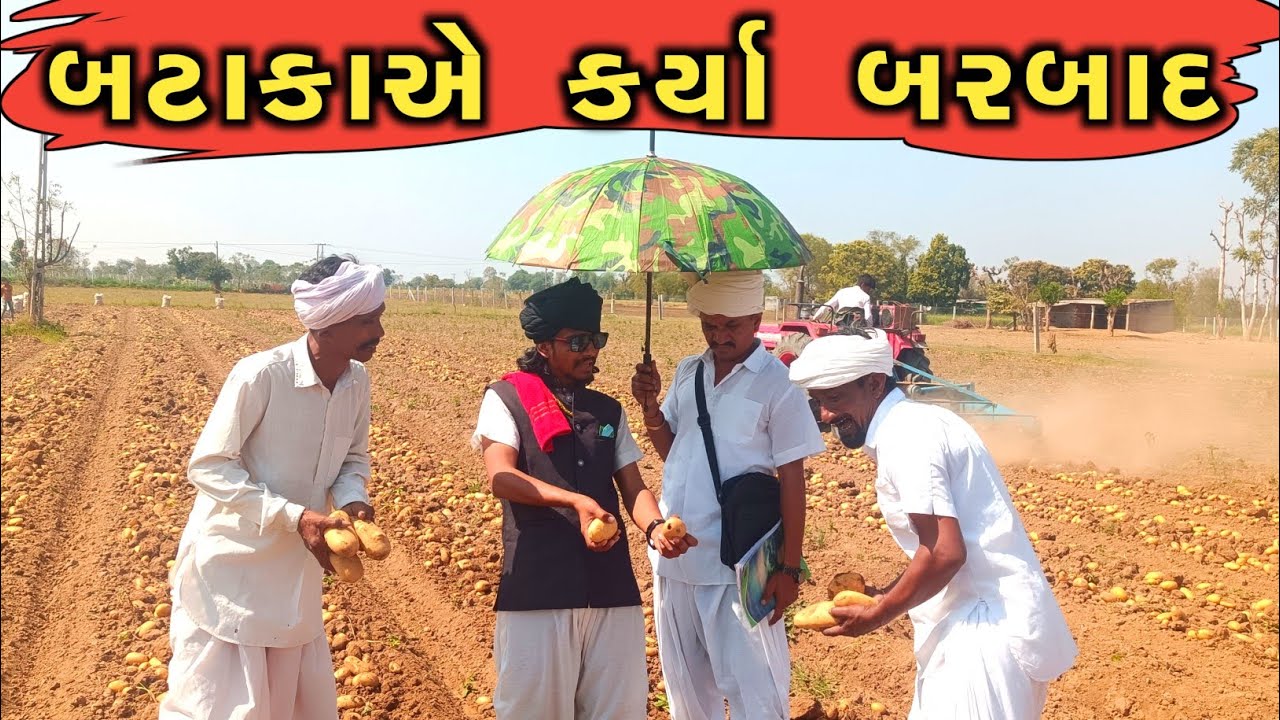ખરેખર ખેડૂત શું કરે ? બટાકાએ કર્યા બરબાદ || Khedutni Vedna || Naklang Digital