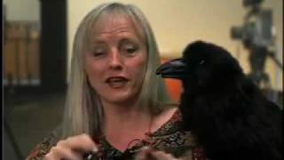 GenderVision: Trans Partner - Gender & Relationship
