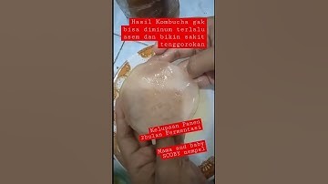 Thumbnail of Minum Kombucha Bikin Sakit Tenggorokan #shorts  #kombucha