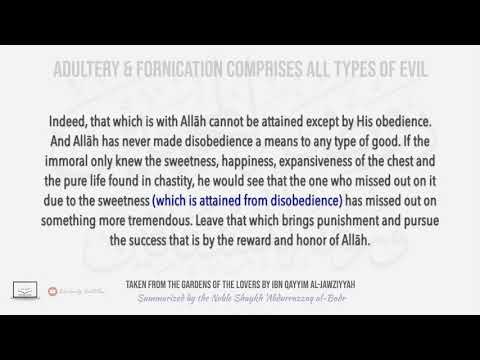 Adultery & Fornication Comprises All Types of Evil | Shaykh 'Abdurrazzāq al-Badr حفظه الله