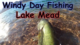 Catching Bass At Lake Mead Before The Wind Picks Up!