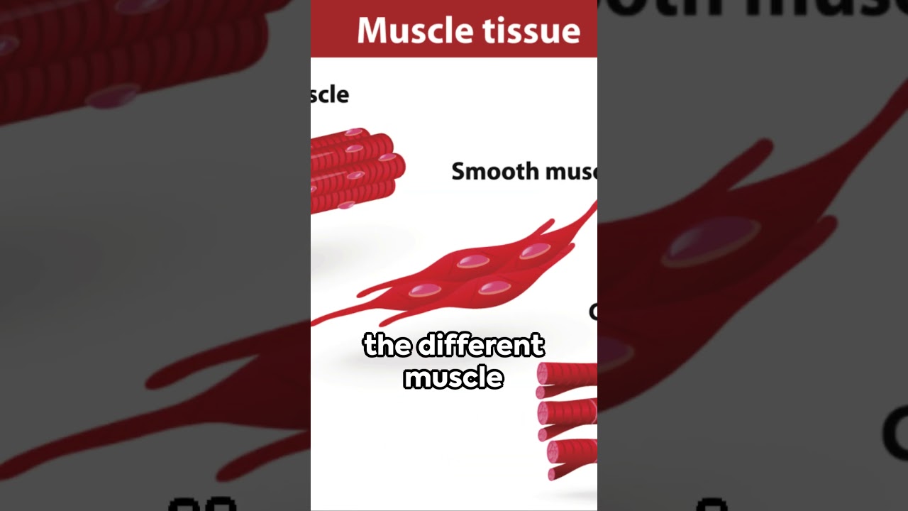 Unlock Your Strength | The Science of Strength Training 