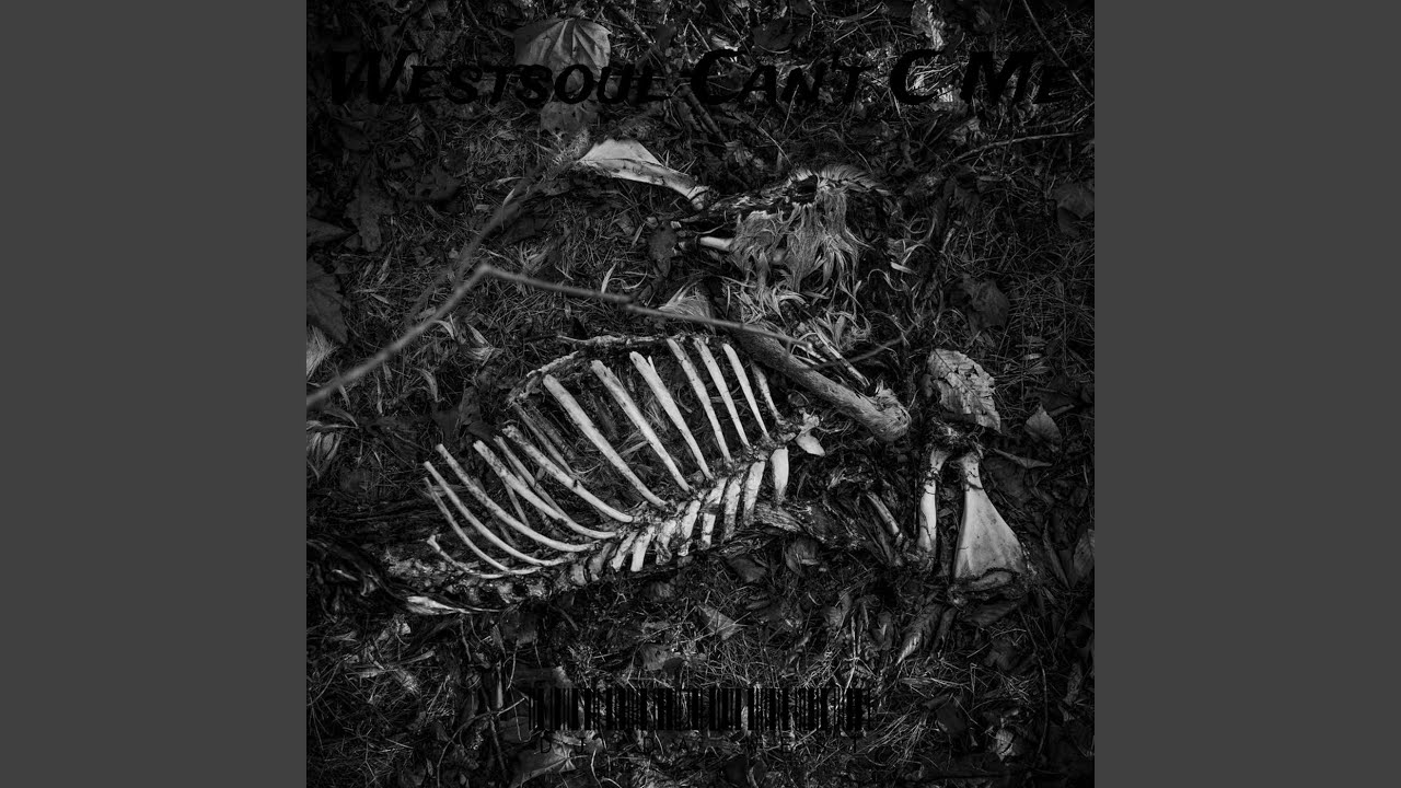 WestSoul Can't C Me