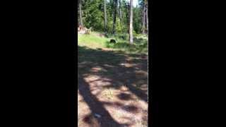 Rimfire Exploding Target by Star Targets
