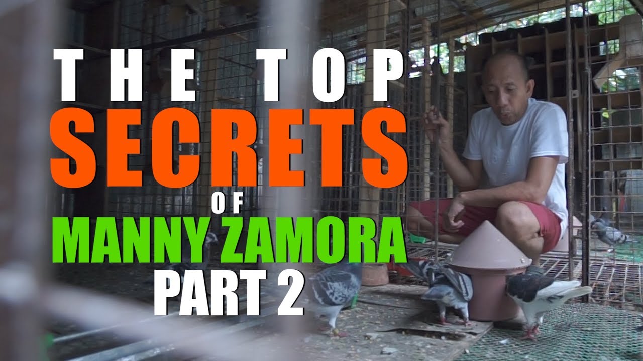 Top Secrets of Manny Zamora part 2 | Pigeon Racing in the Philippines