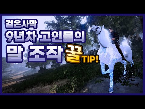 BDO 검은사막 말 조작 방법 님들 말 제대로 타고 있는거 맞죠 