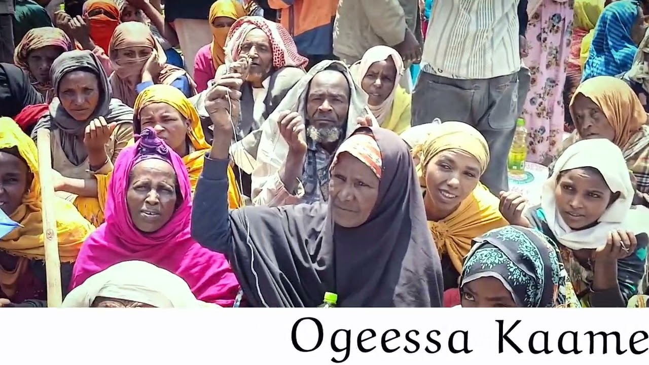 Deeggarsa harka qalleeyyii 2026 .#duet #lifeisbutadream #remix #ethiopia #haveitol
