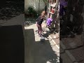 Teaching My Niece Skateboarding 🛹🔥👧🏼 #skateboarding