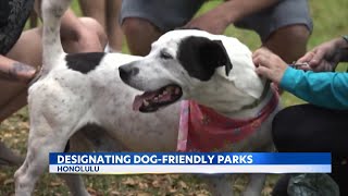 Give your input on which Oahu parks should be dog friendly