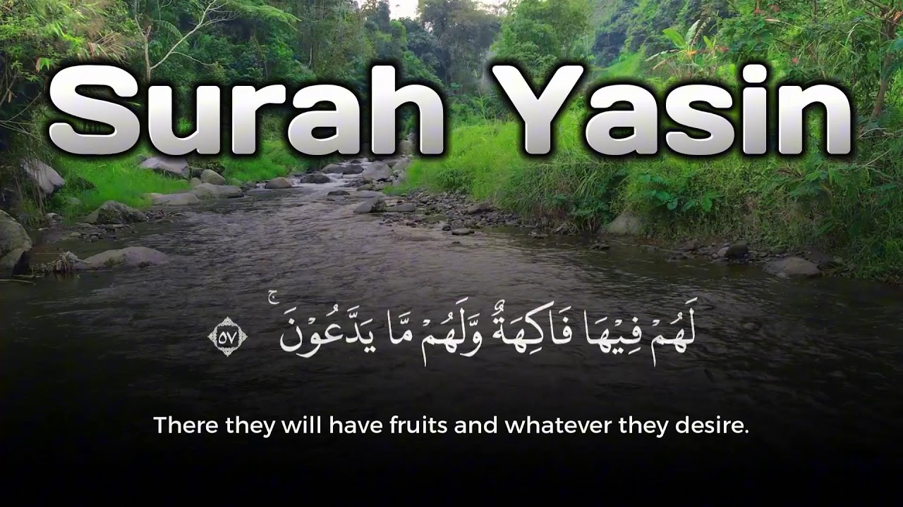 Sahur Time Surah Yasin Beautiful Quran Recitation for Miracle Success (Ramadan)