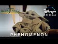 Phenomenon | The Mandalorian | Disney+