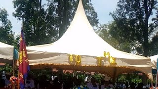 Cool Moon 254 Is Live