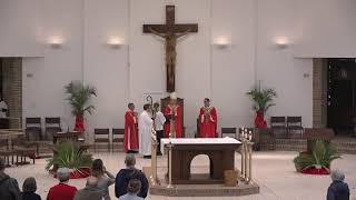 Holy Mass, the Palm Sunday of the Passion of the Lord | March 28, 2026