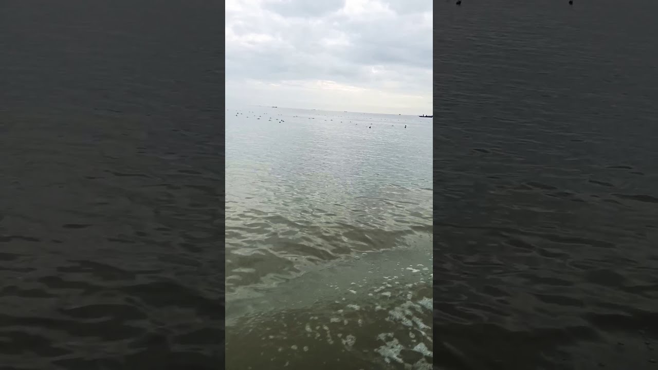 Menuju ke pedalaman rumput laut yg terletak di daerah Nunukan - YouTube