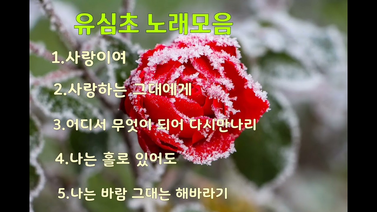 유심초 노래 모음/사랑이여*사랑하는 그대에게*외3곡