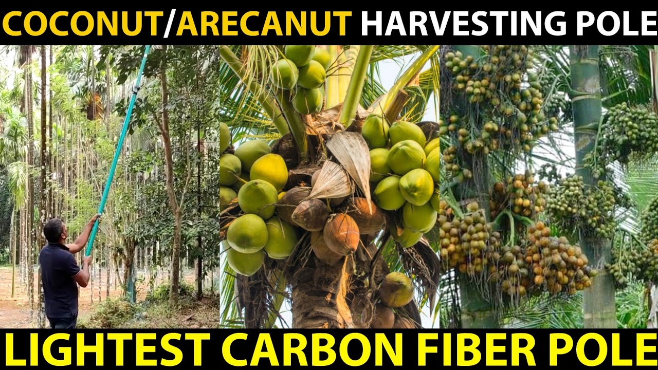 Coconut/Arecanut Harvesting Pole Coconut, Arecanut